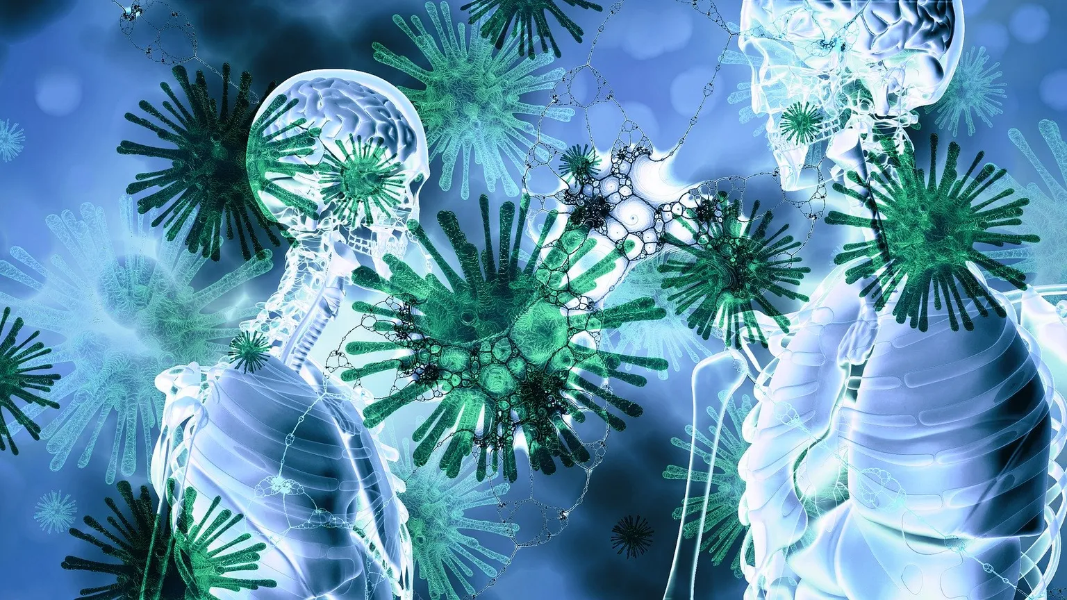 Système immunitaire